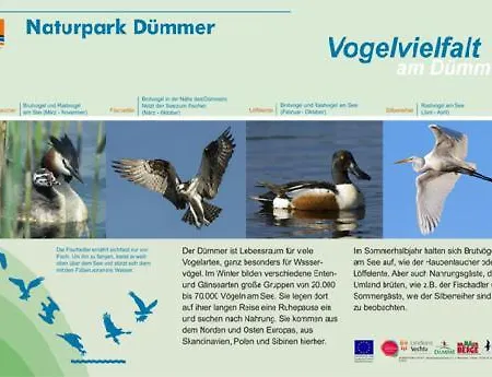 Duemmerling In Appartamento Lembruch